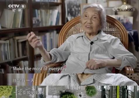 杨苡
