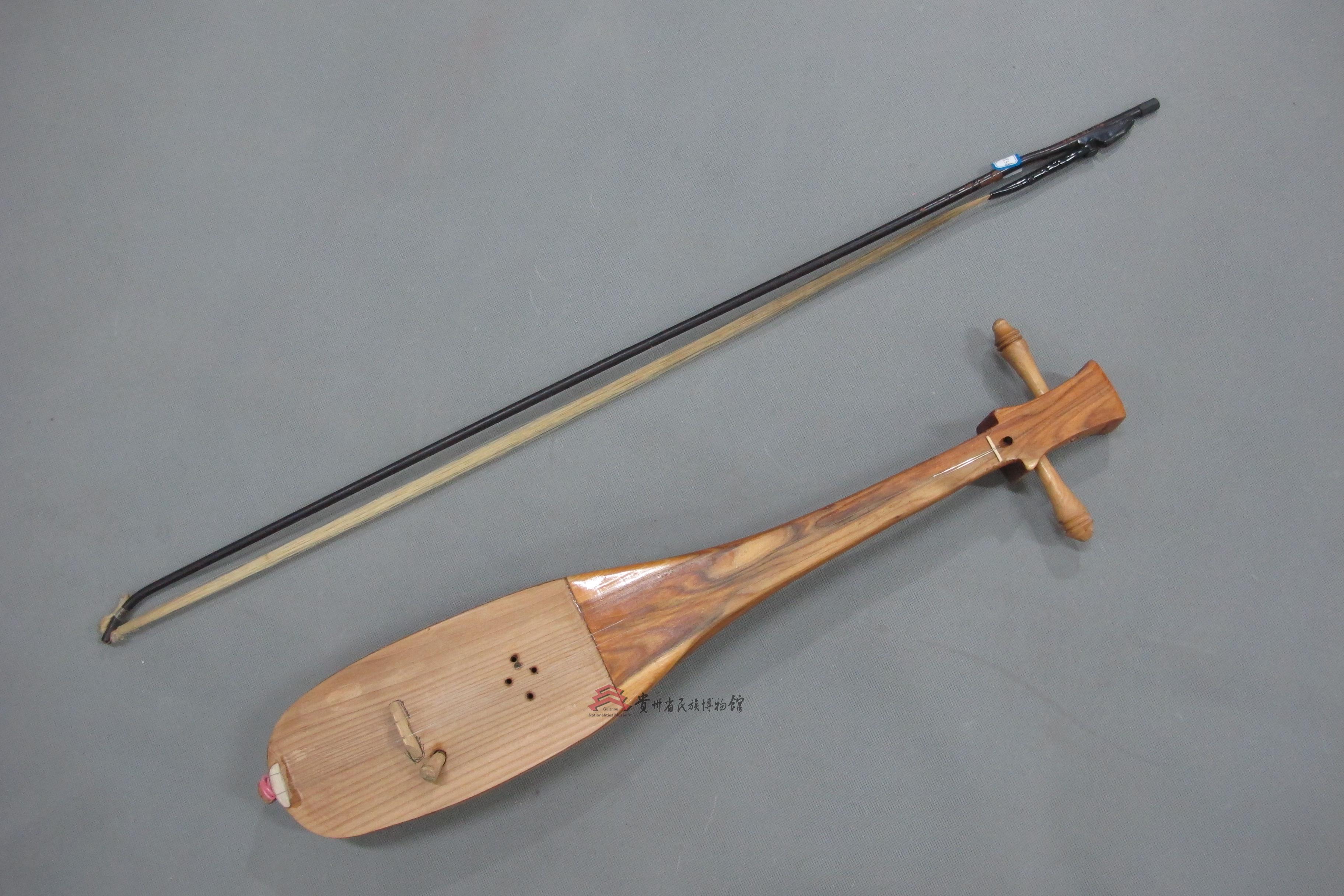 牛腿琴 全网资源