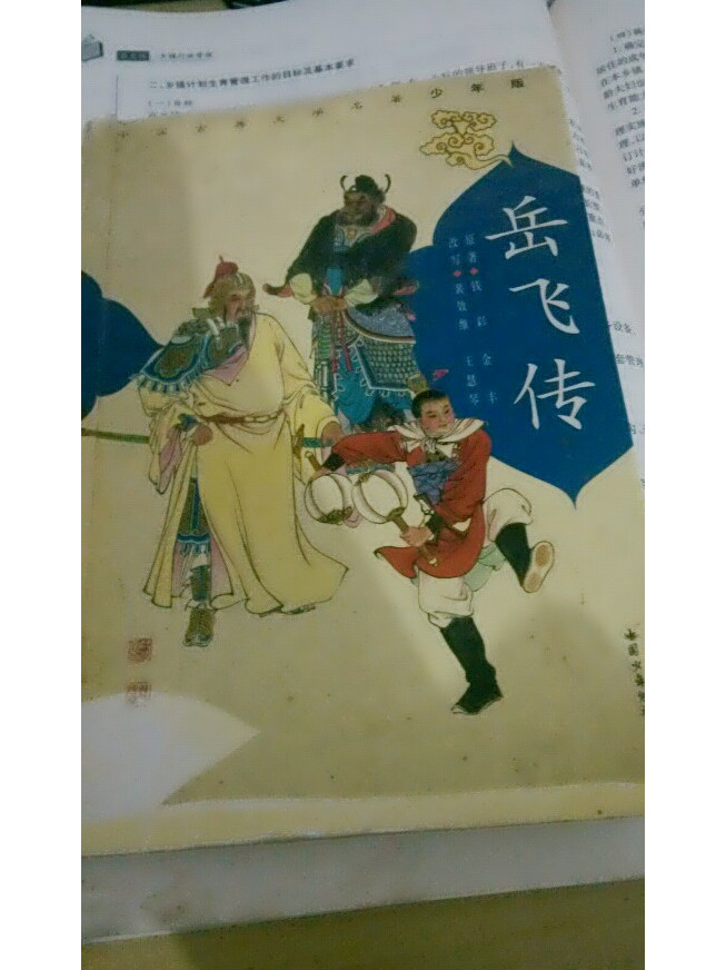 宋史·岳飞传