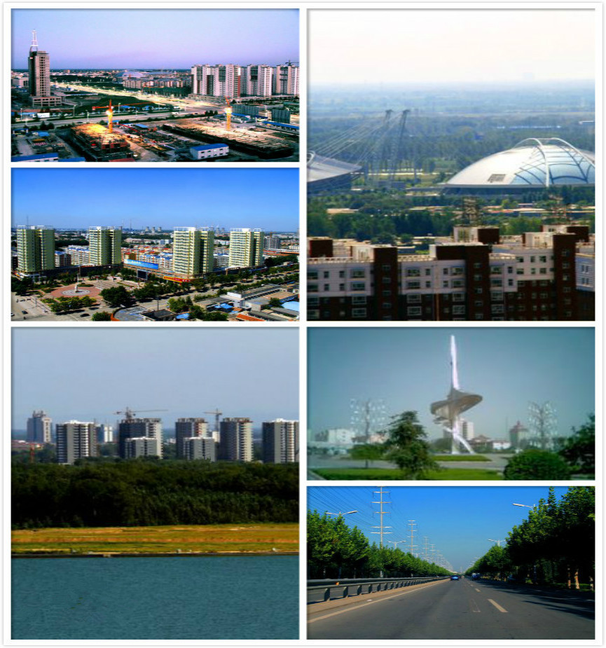 关于茌平中英网站建设的信息