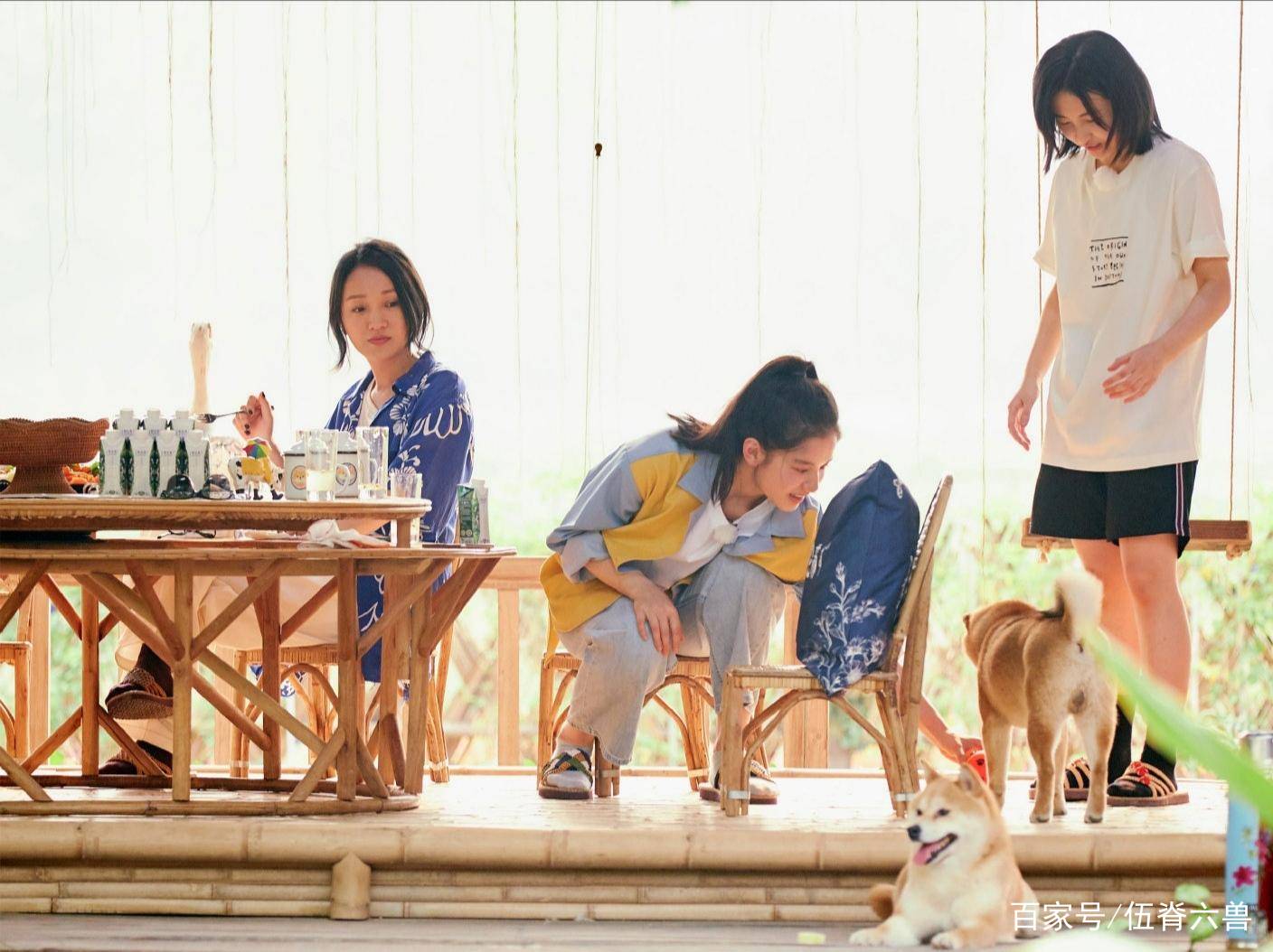 周迅李冰冰力捧新人，清秀小花成主流，范冰冰式美艳不再吃香？_百科TA说