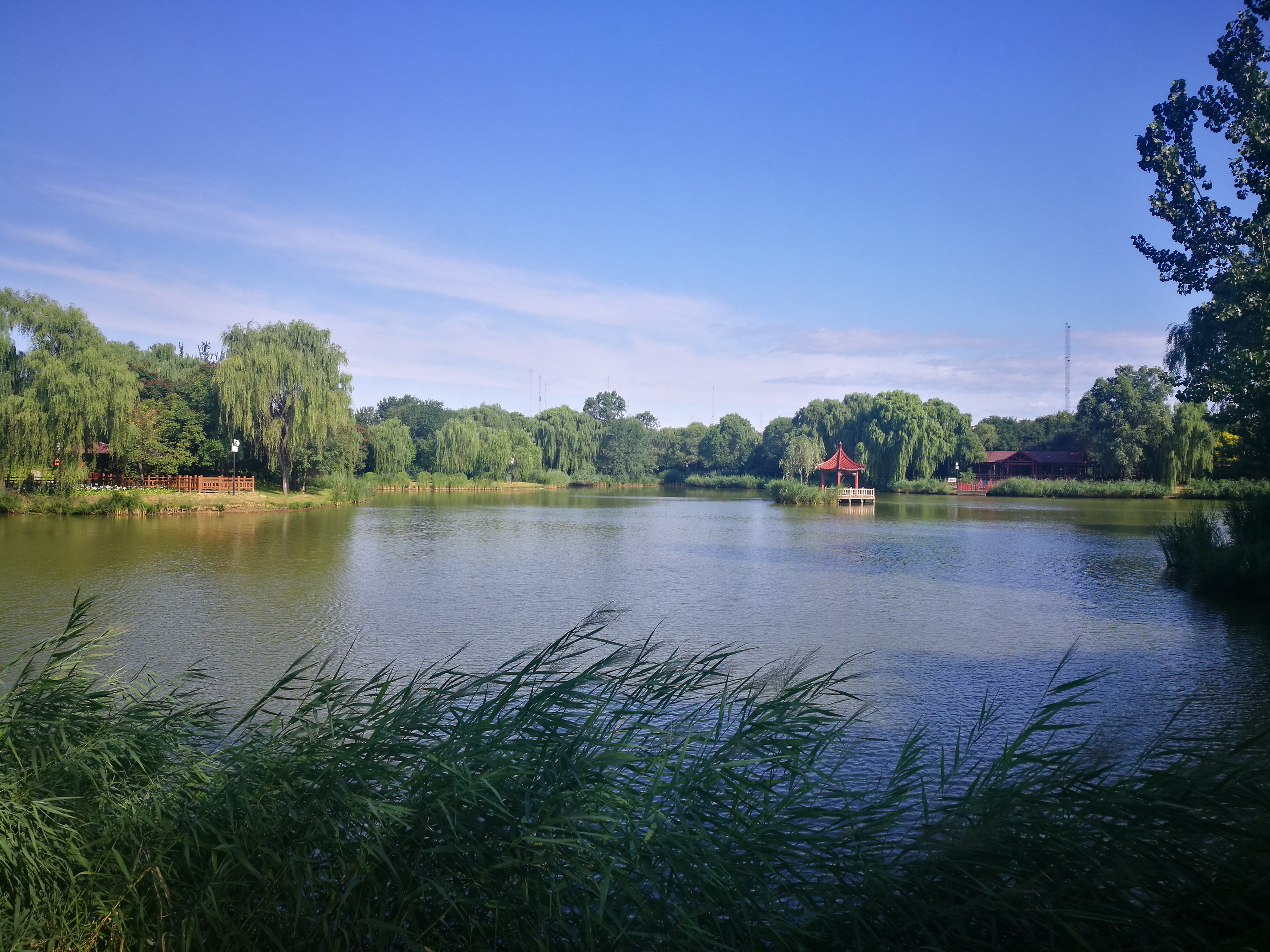 a9">东坝郊野公园位于 a target="_blank" href="/item/朝阳区/2134"