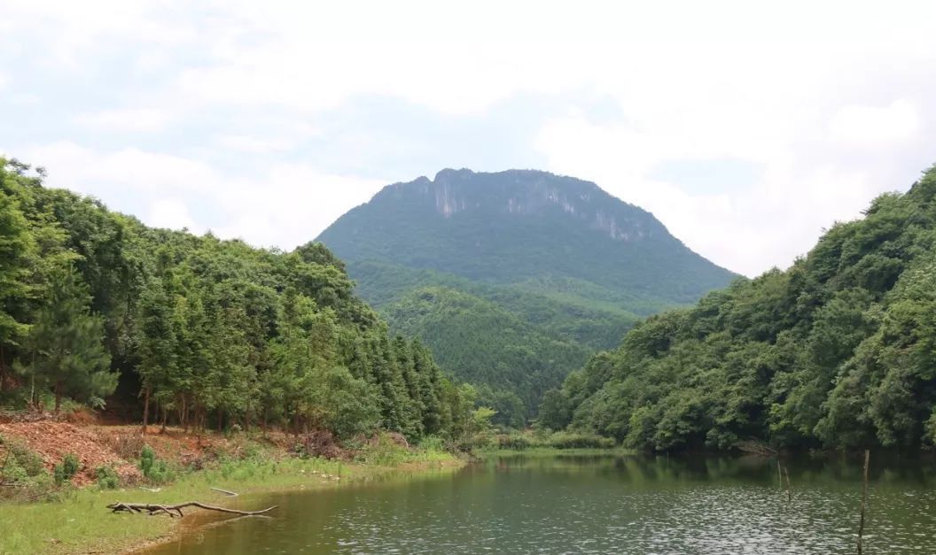 涌山镇