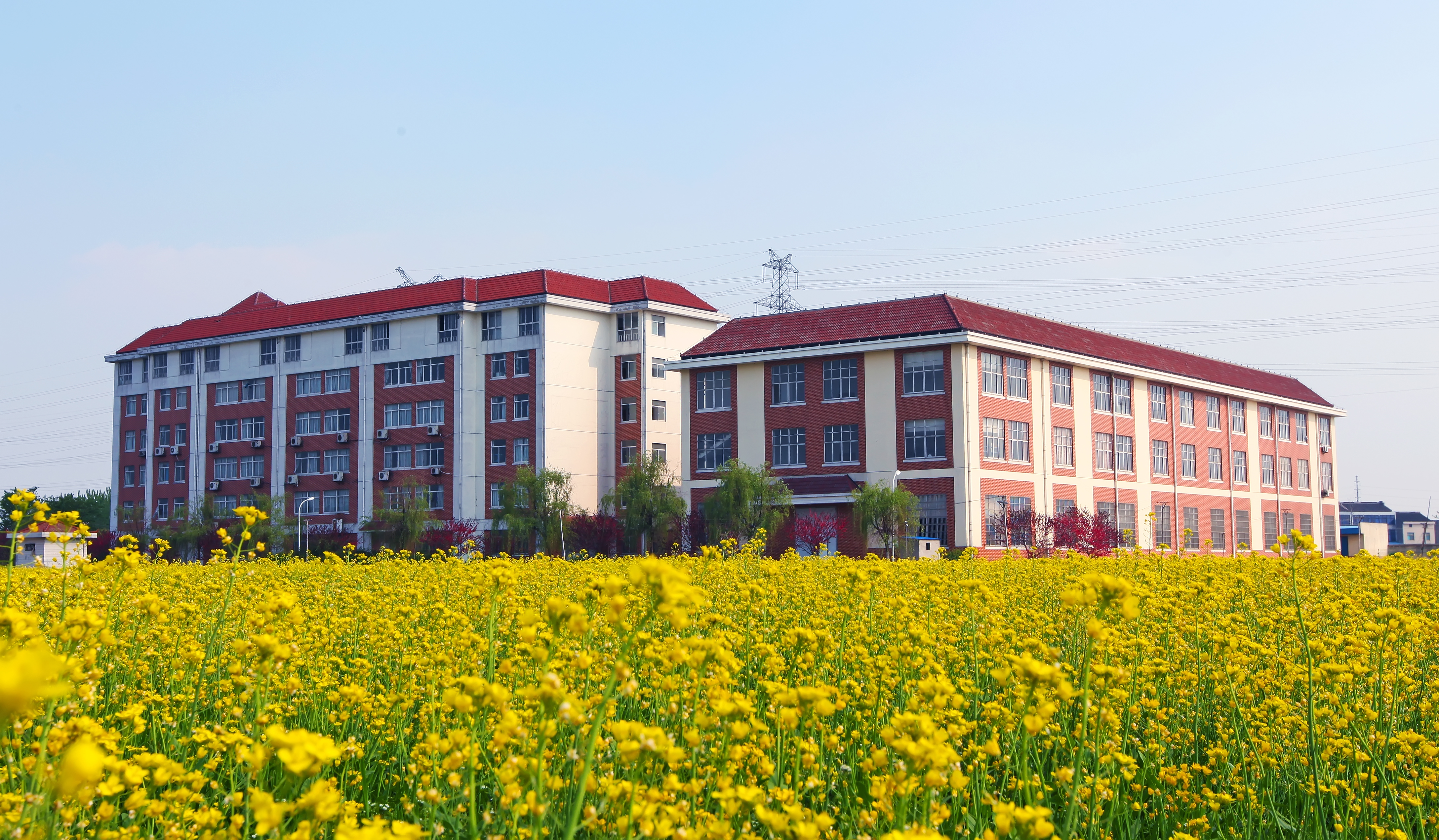  p>江阴职业技术学院是江阴一所公办全日制普通高校,设有电子信息工程