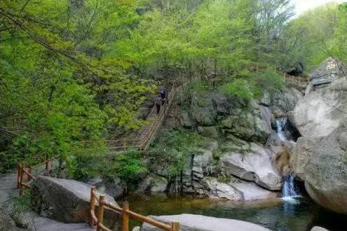 大虎岭森林公园