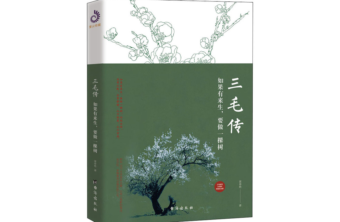 三毛传