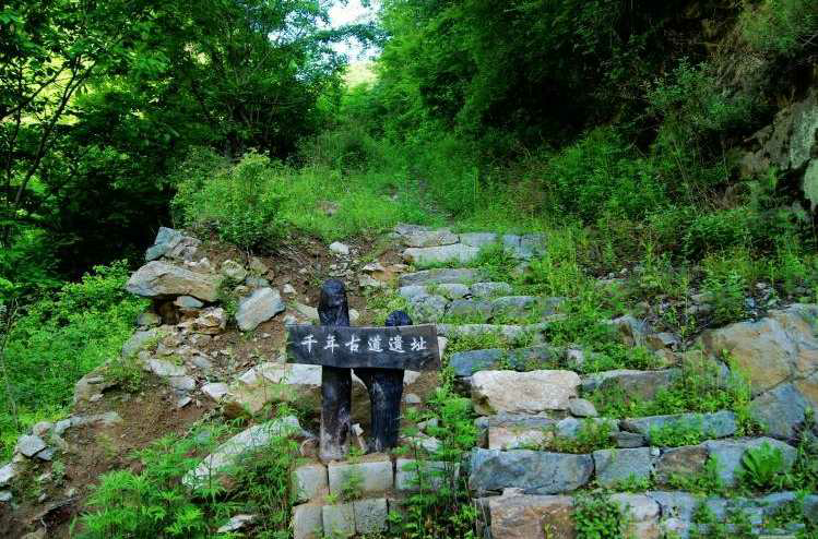 秦楚古道