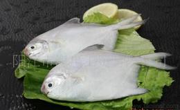  p>燕尾鲳( a href="#" data-lemmaid="8074290">学名 /a>:pampus