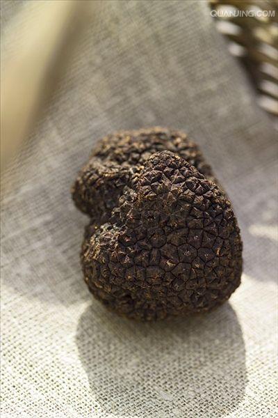  p>黑松露(拉丁名为tuber melanosporum , a target="_blank" href="