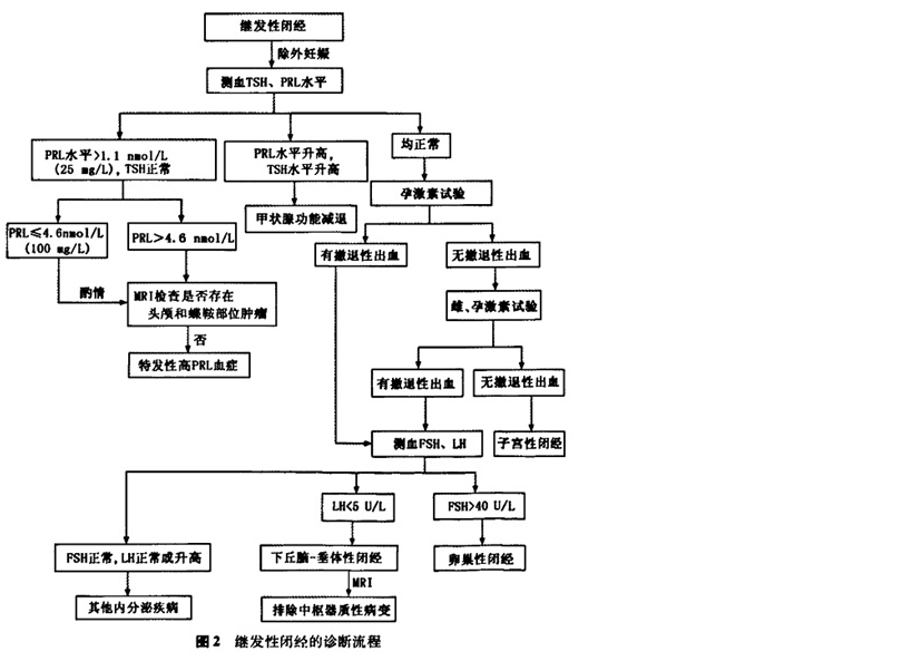 闭经_百度百科