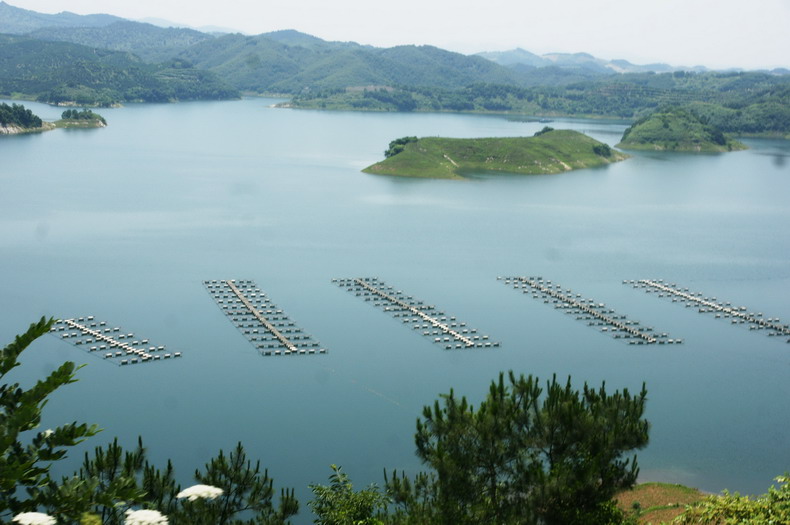 丹江口千岛画廊