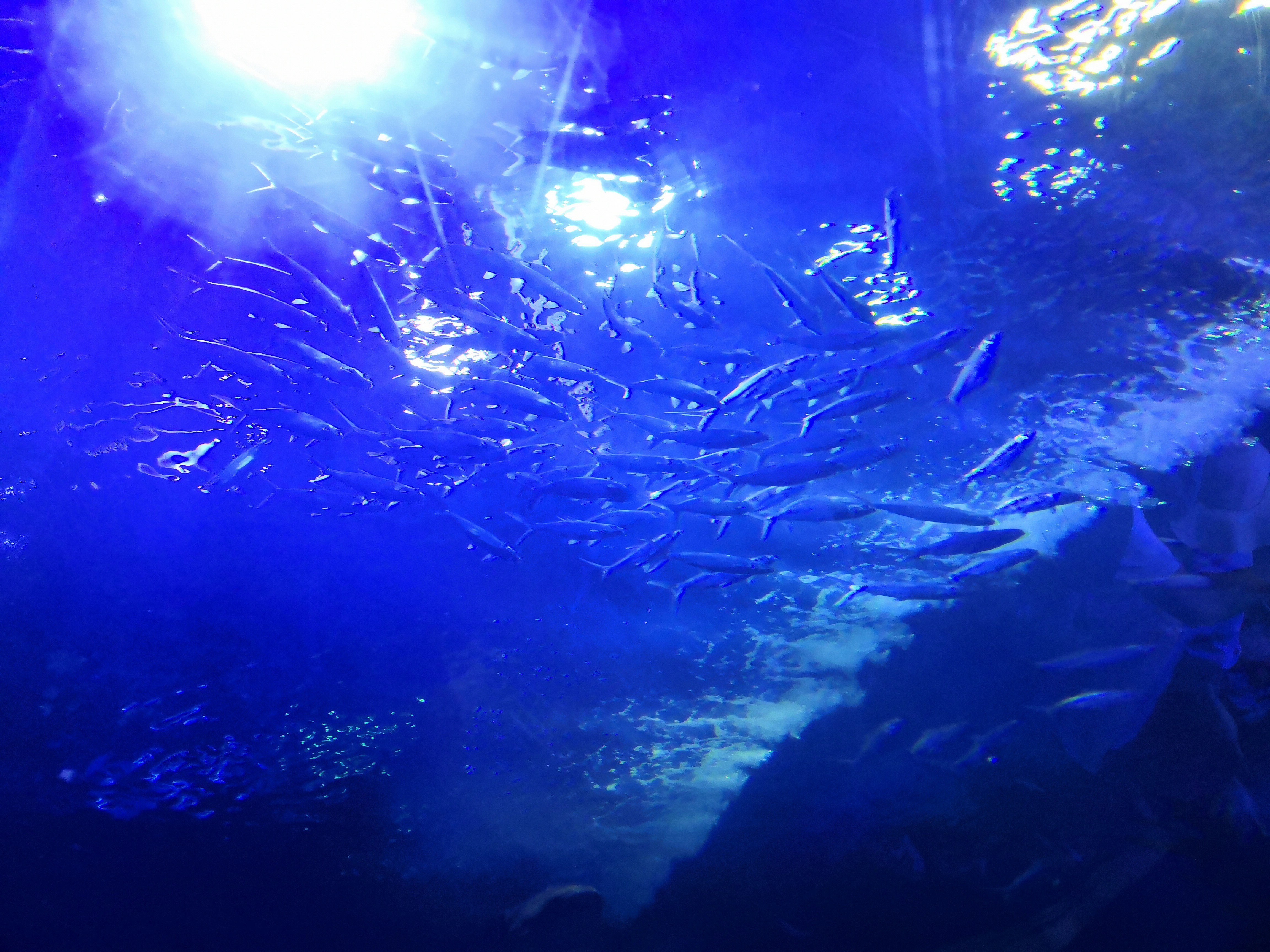  p>青岛 a target="_blank" href="/item/海底世界/14076862" data