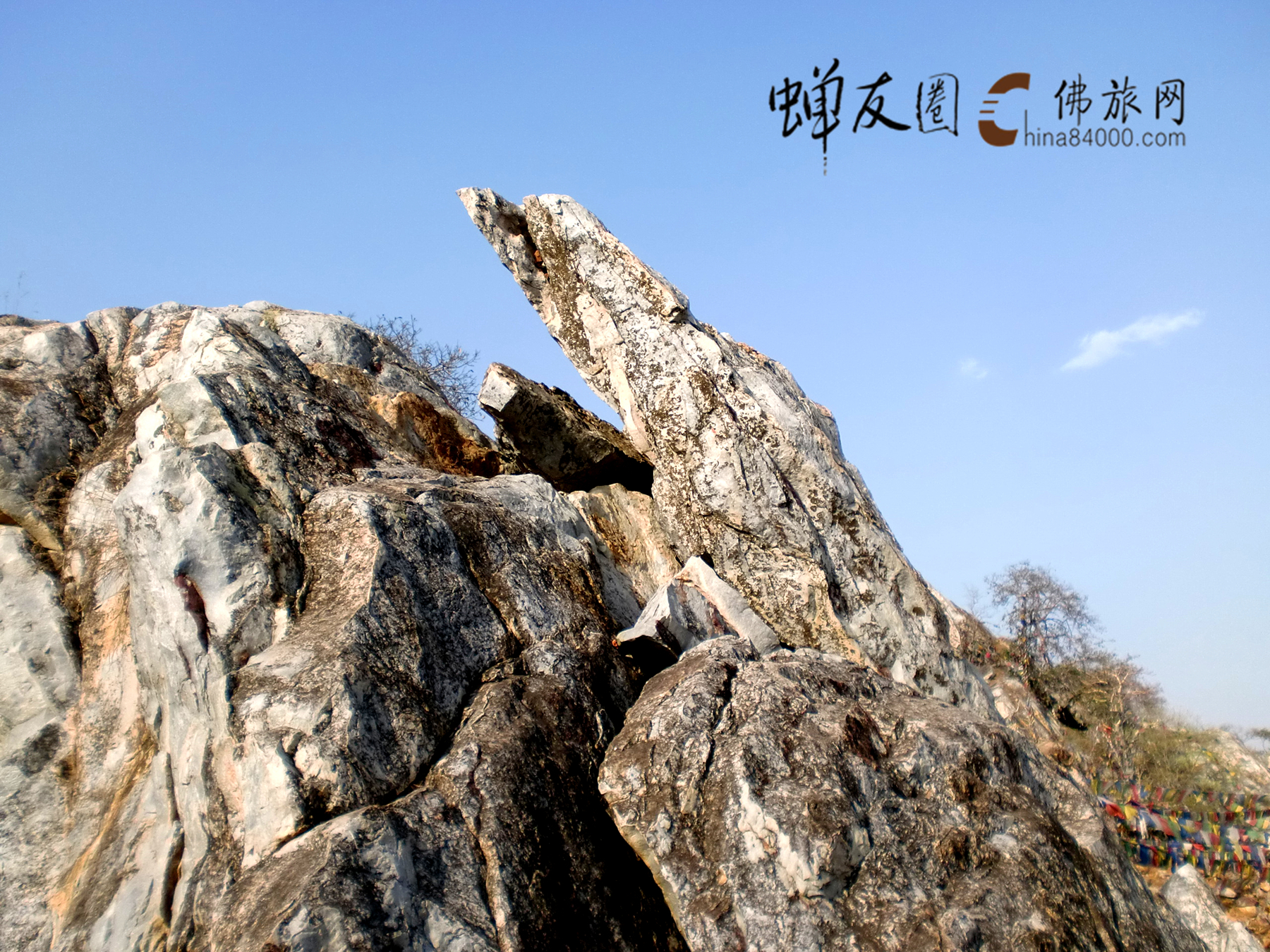 中印度摩羯陀国首都 a target="_blank" href="/item/王舍城/5009235"