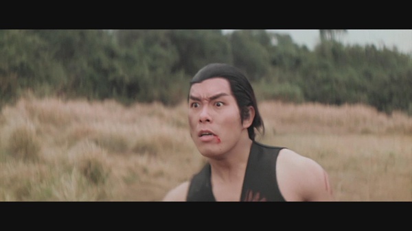 《阴阳血滴子》是1977年6月17日上映的中国香港动作电影,雷成功执导