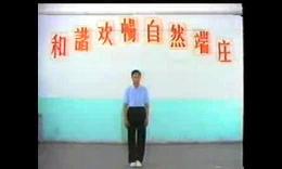 智能气功系列功法的一个重要组成部分,属静功体系中的站功.