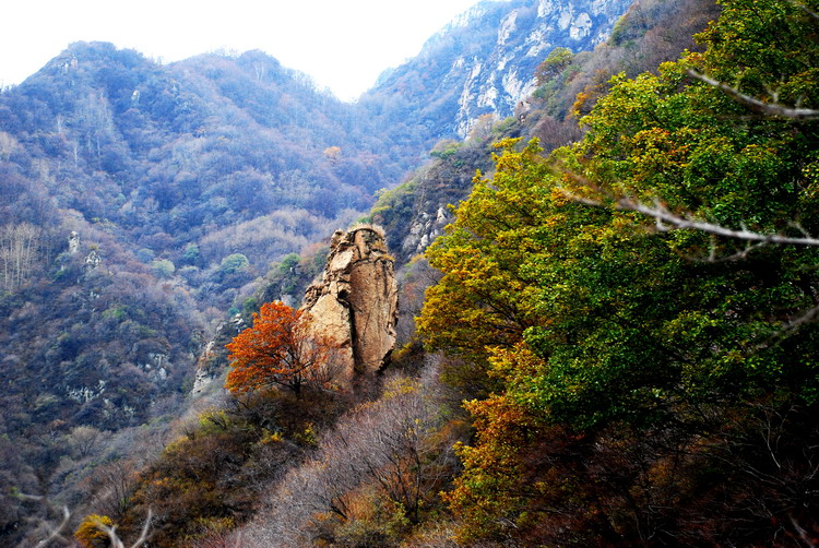 河北古北岳国家森林公园