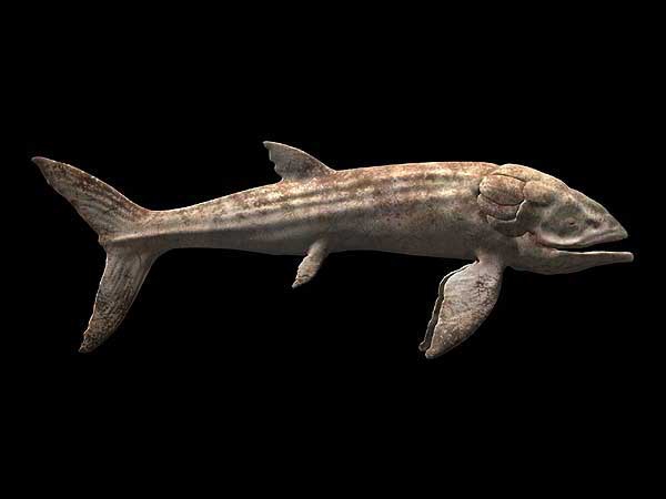  p>利兹鱼(leedsichthys problematicus)是一种已经灭