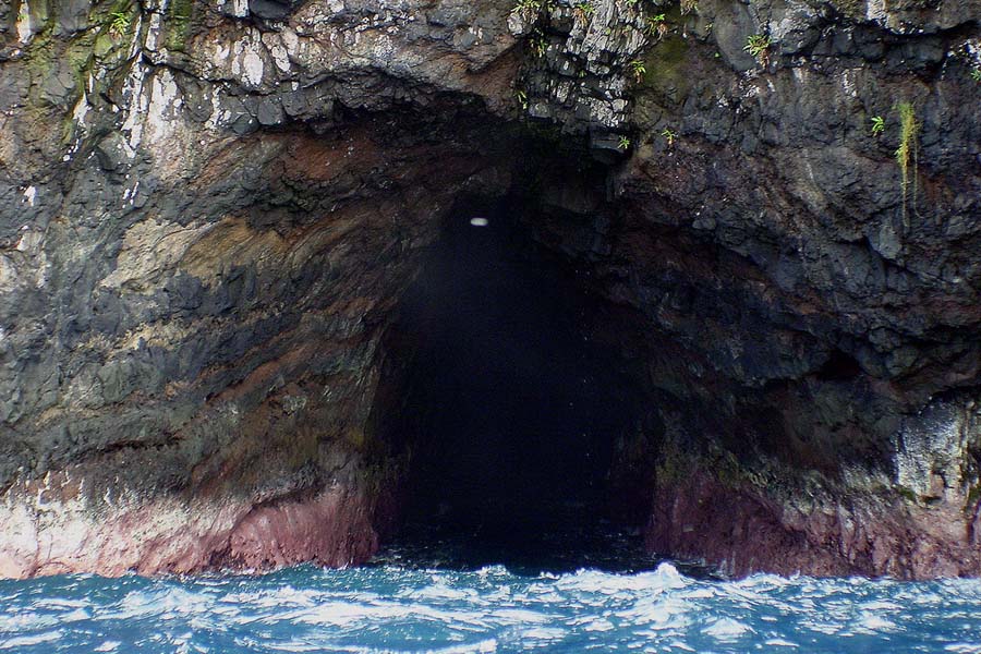 isla del coco