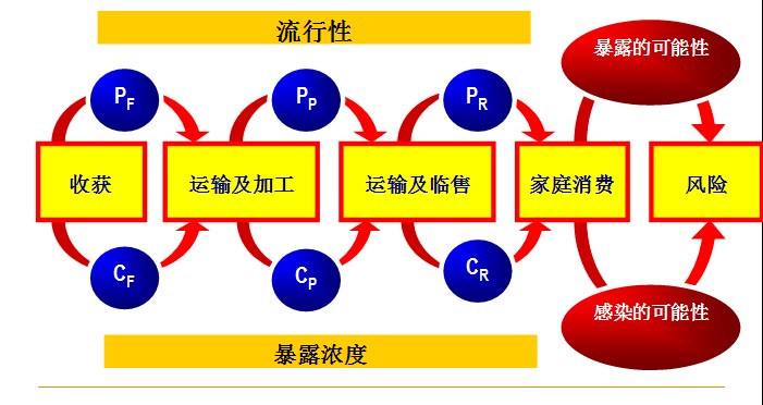  p>项目的风险分析可以在项目寿命期的任何一个阶段进行,是一个连续不