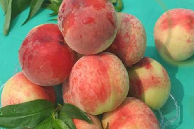 ">甘肃省 /a>兰州市 a target="_blank" href="/item/安宁区/2970838"