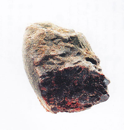 西藏中南进出口贸易股份有限公司