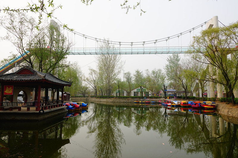 姜堤乐园位于山东省 a target="_blank" href="/item/聊城市">聊城市 