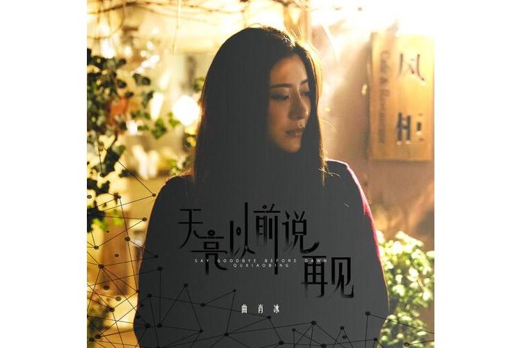 天亮以前说再见