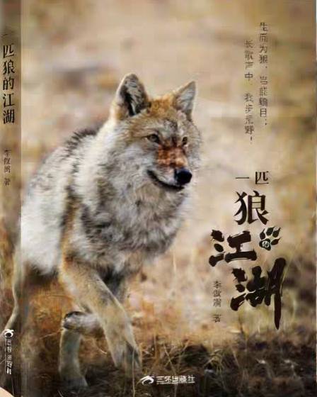 一匹狼的江湖_百度百科