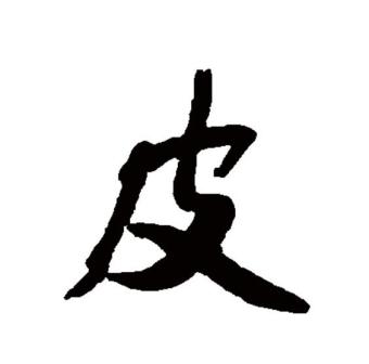 皮（汉语文字）_百度百科