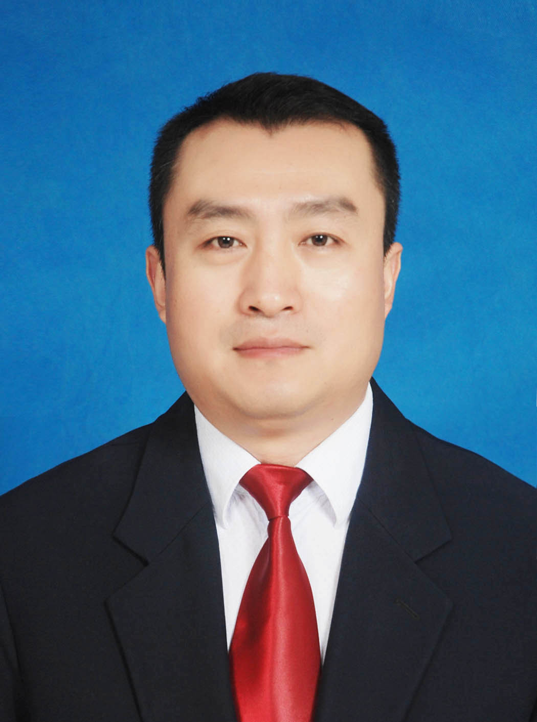 href="#" data-lemmaid="2998099">礼县 /a>人民政府副县长