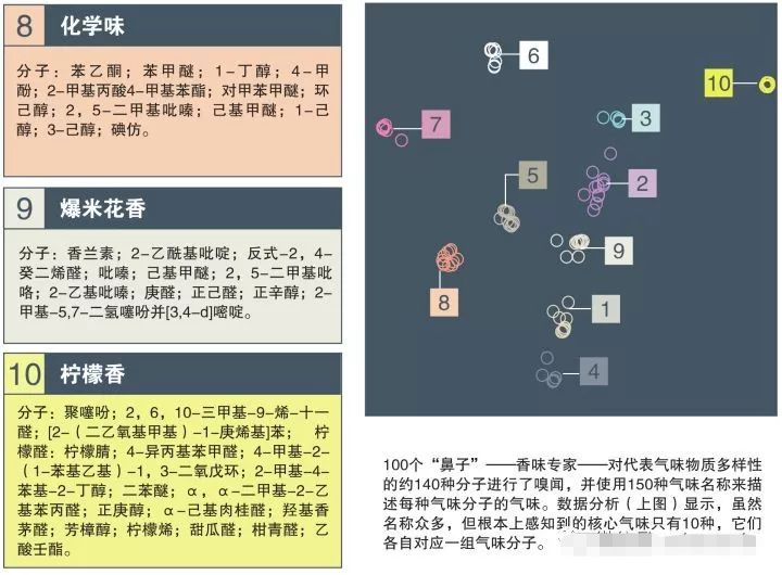 不管什么味，这世界由10种基本气味组成_百科TA说