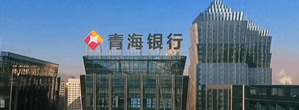 青海银行流水 全网资源