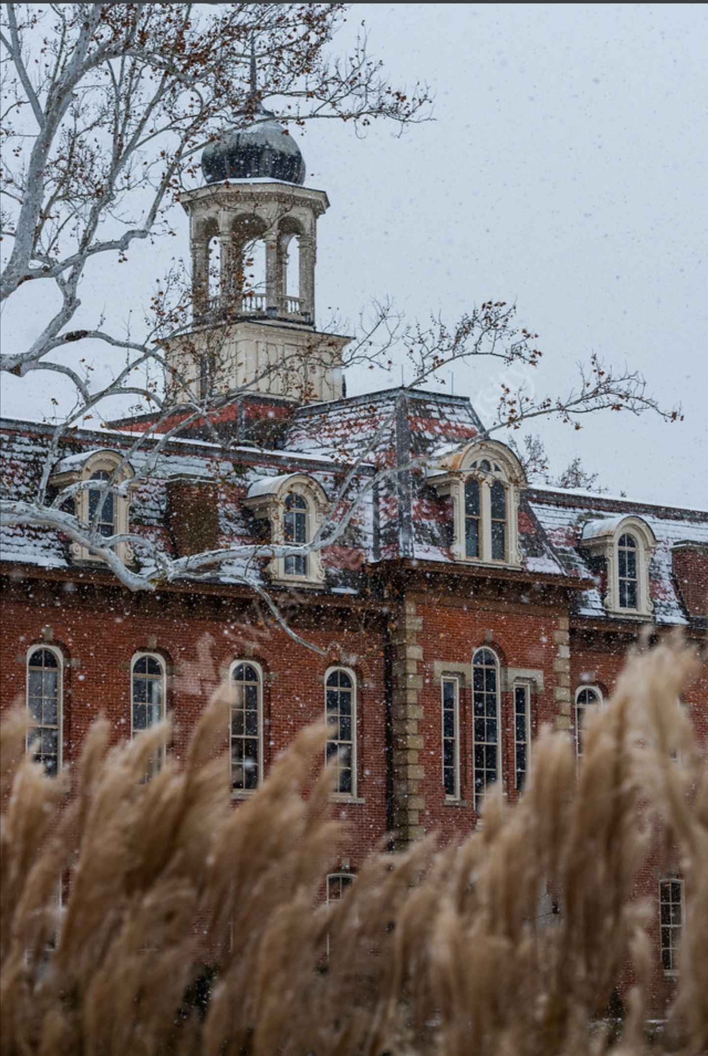  p>西弗吉尼亚大学(west virginia university,简称wvu)是一所四年制 