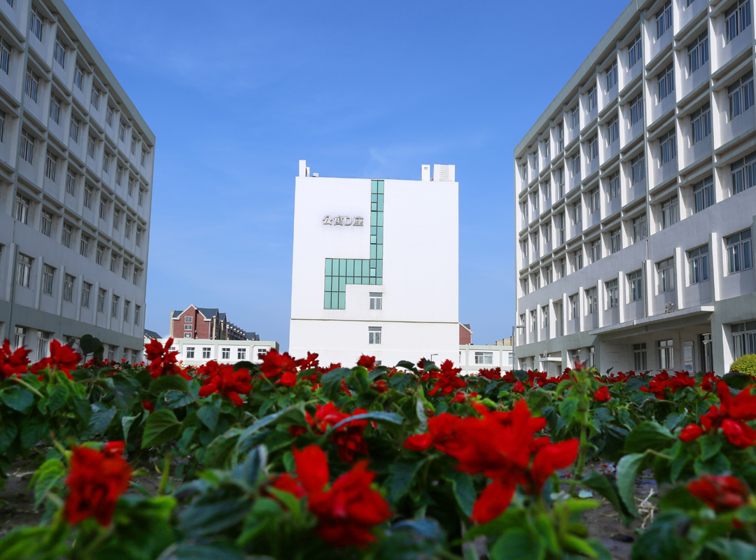 大洼区高级中学