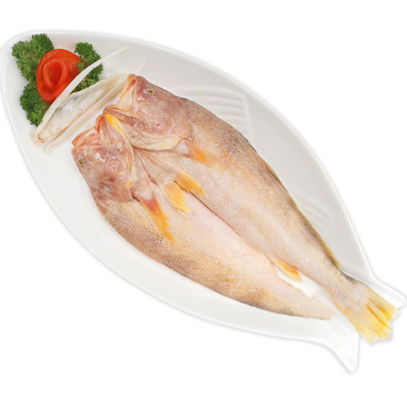  p data-id="gnwn2aapse">黄金斑常见淡水鱼.