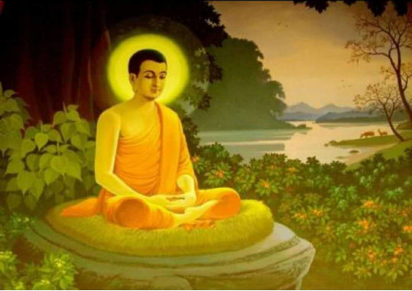 七叶树，佛门圣树的传说及其文化寓意_百科TA说