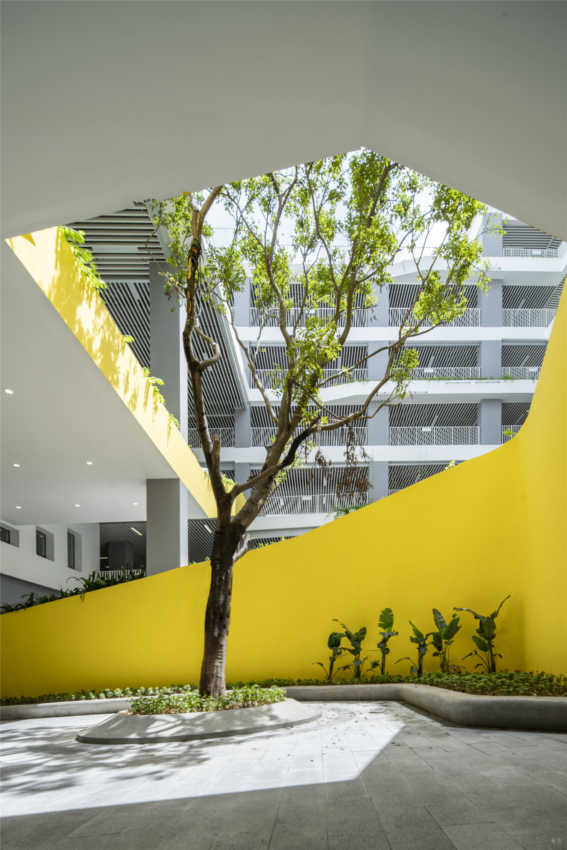 深圳市福田区新洲小学