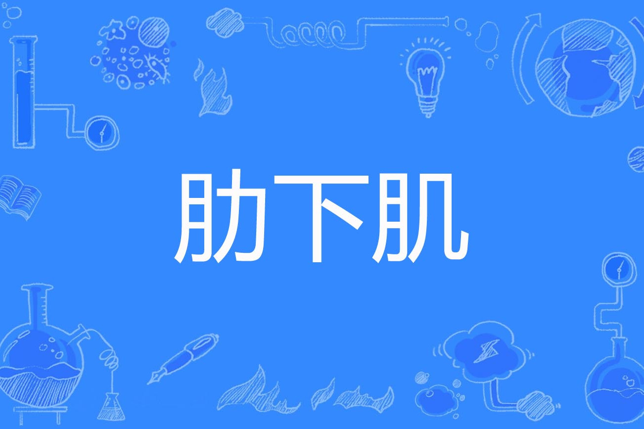 肋下肌