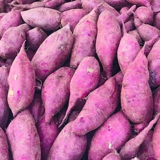 紫心薯