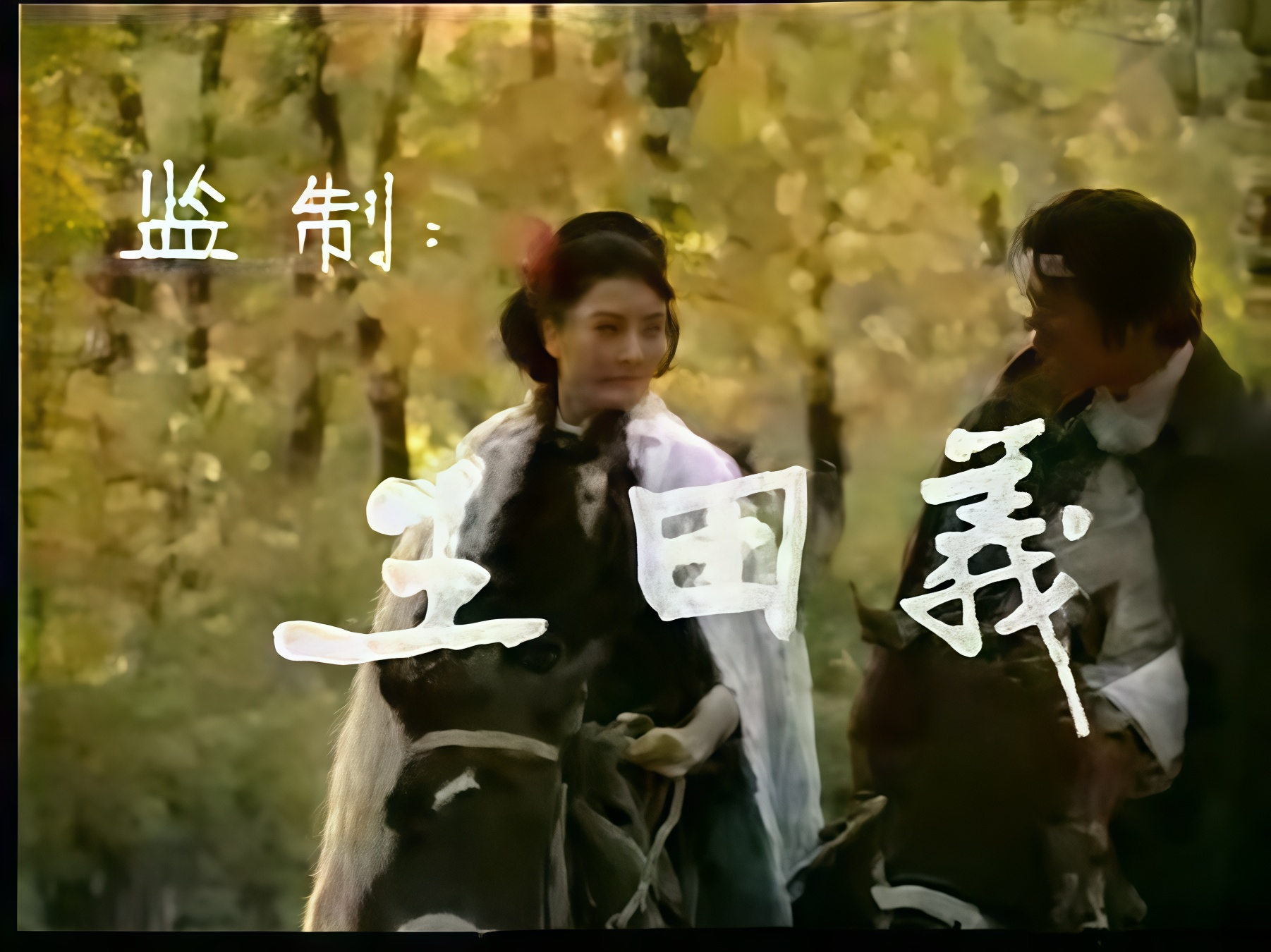李承伟执导,任梦,王兰英,李永田,景振起,孙汉忠主演的四集电视剧,该剧