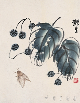 绿叶飞蛾