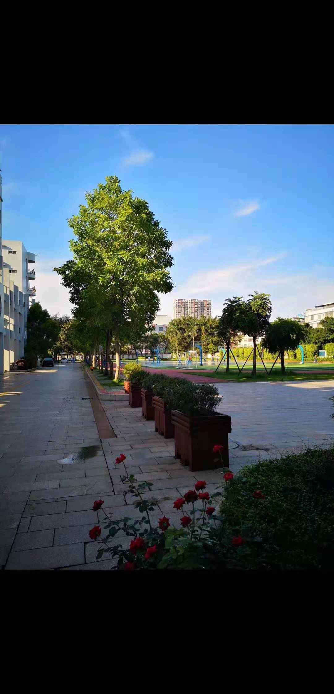 揭阳市实验中学