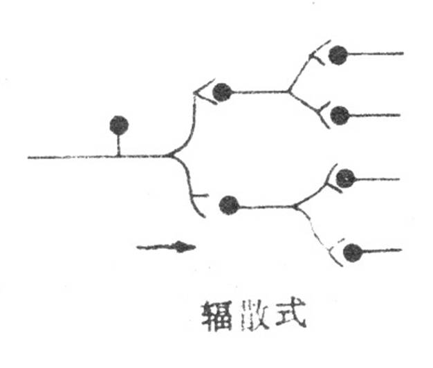 中枢神经元