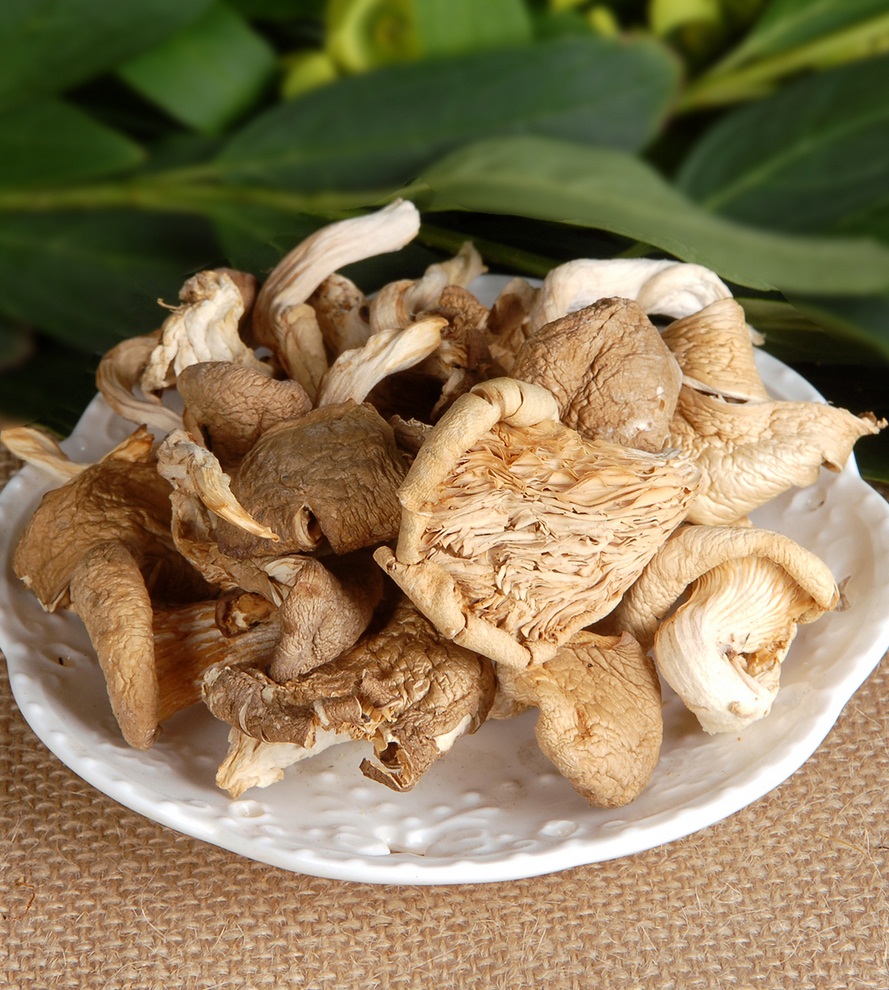  p>雀斑蘑菇又称雀斑菇,子实体小或中等大.