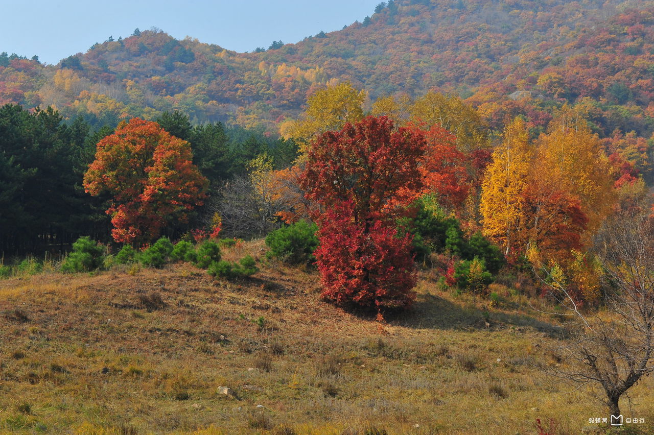喀喇沁旗短借 全网资源
