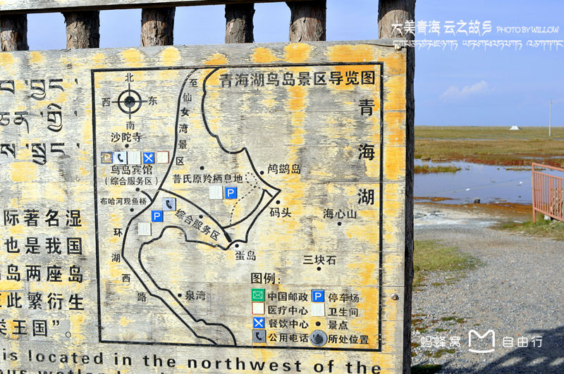  p>青海湖鸟岛,因岛上栖息数以十万计的候鸟而得名.