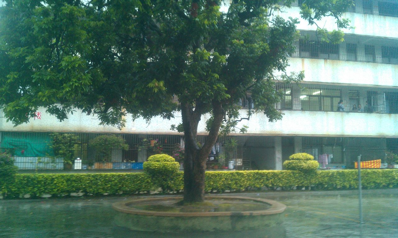  p> a target="_blank" href="/item/惠来县">惠来县 /a>华侨中学创办