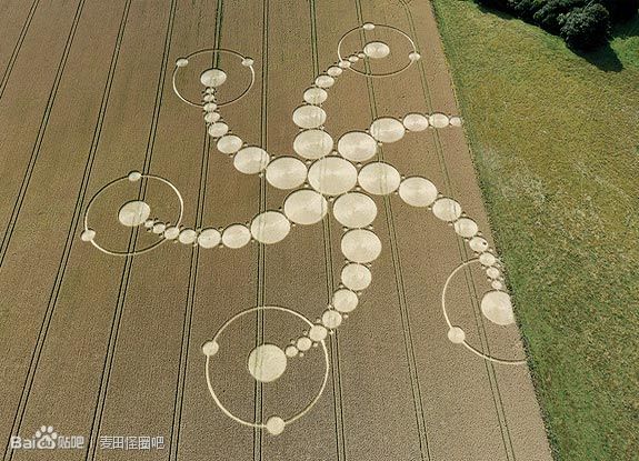  p>麦田怪圈( i>crop circle /i>),是指在麦田或其它田地上,通过某种