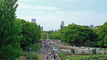 代代木公园_百度百科