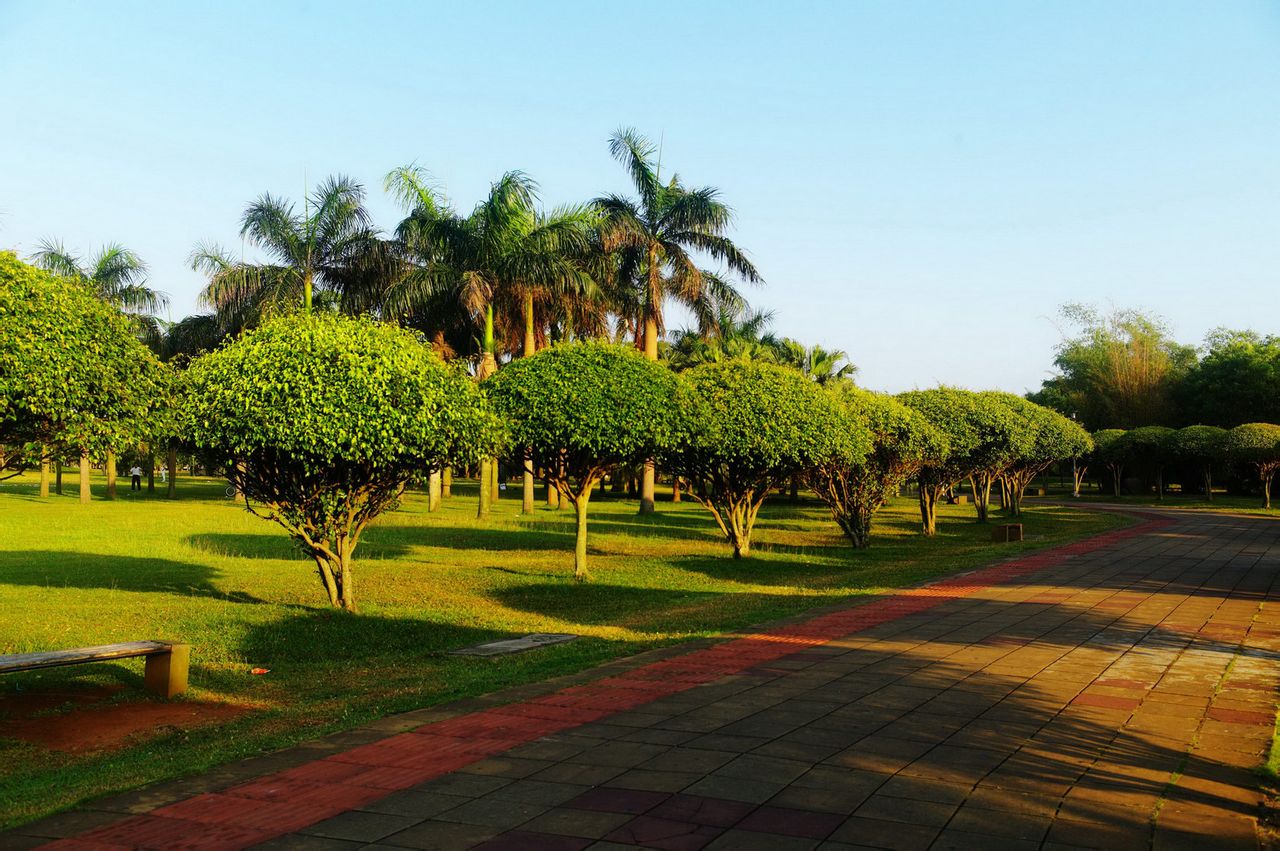  p>万绿园位于海南省 a target="_blank" href="/item/海口/5775"